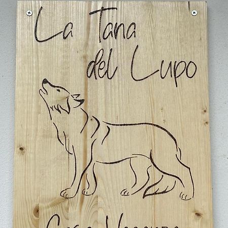 La Tana Del Lupo Apartment Camporosso  Екстериор снимка